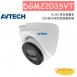 AVTECH 陞泰 DGM2203SVT H.265 兩百萬畫素紅外線半球型網路攝影機